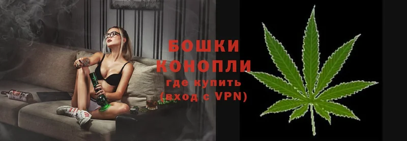 Бошки марихуана Ganja  Курган 